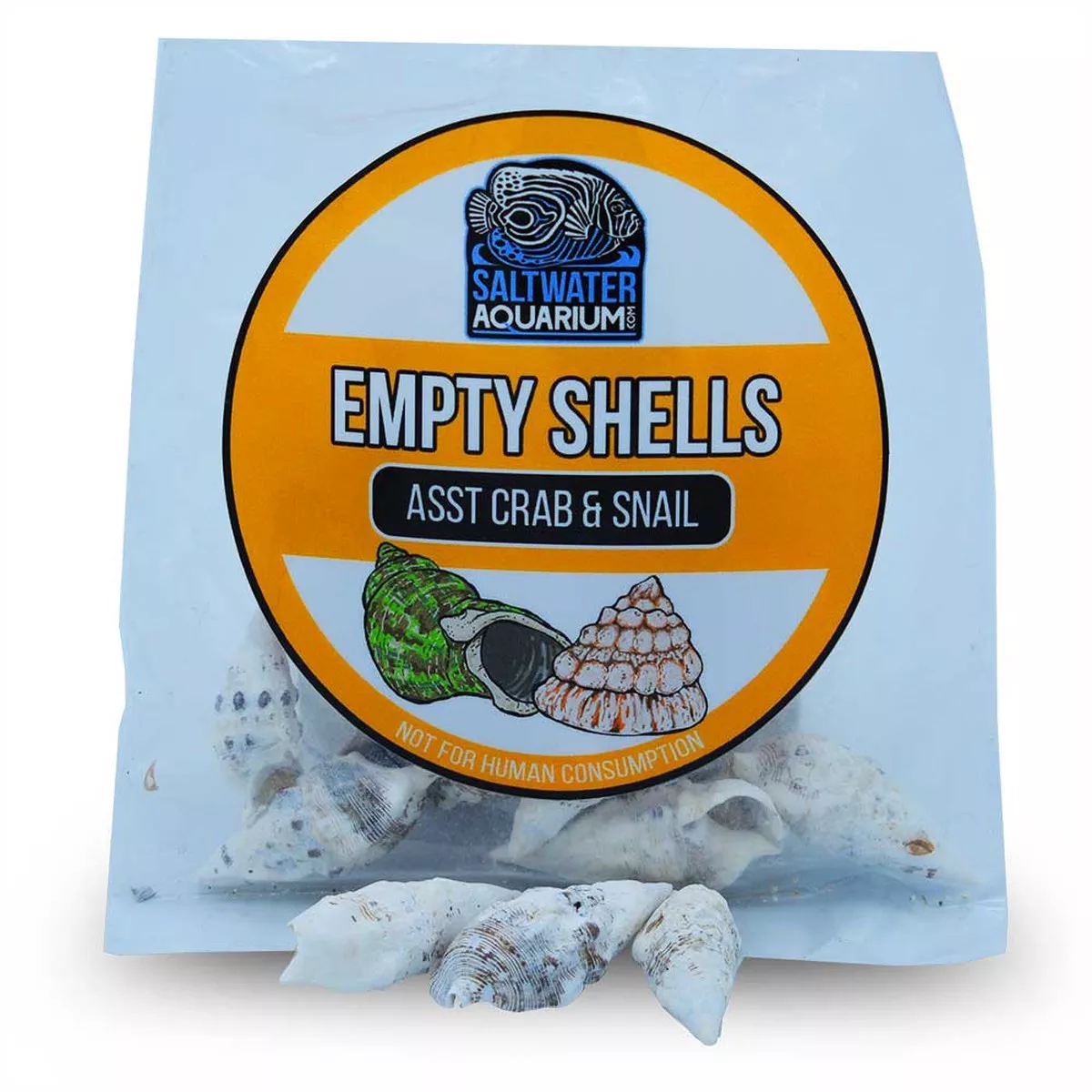 10-medium-conical-shaped-sterilized-aquarium-safe-empty-shells (10) Medium Conical Shaped Sterilized Aquarium Safe Empty Shells