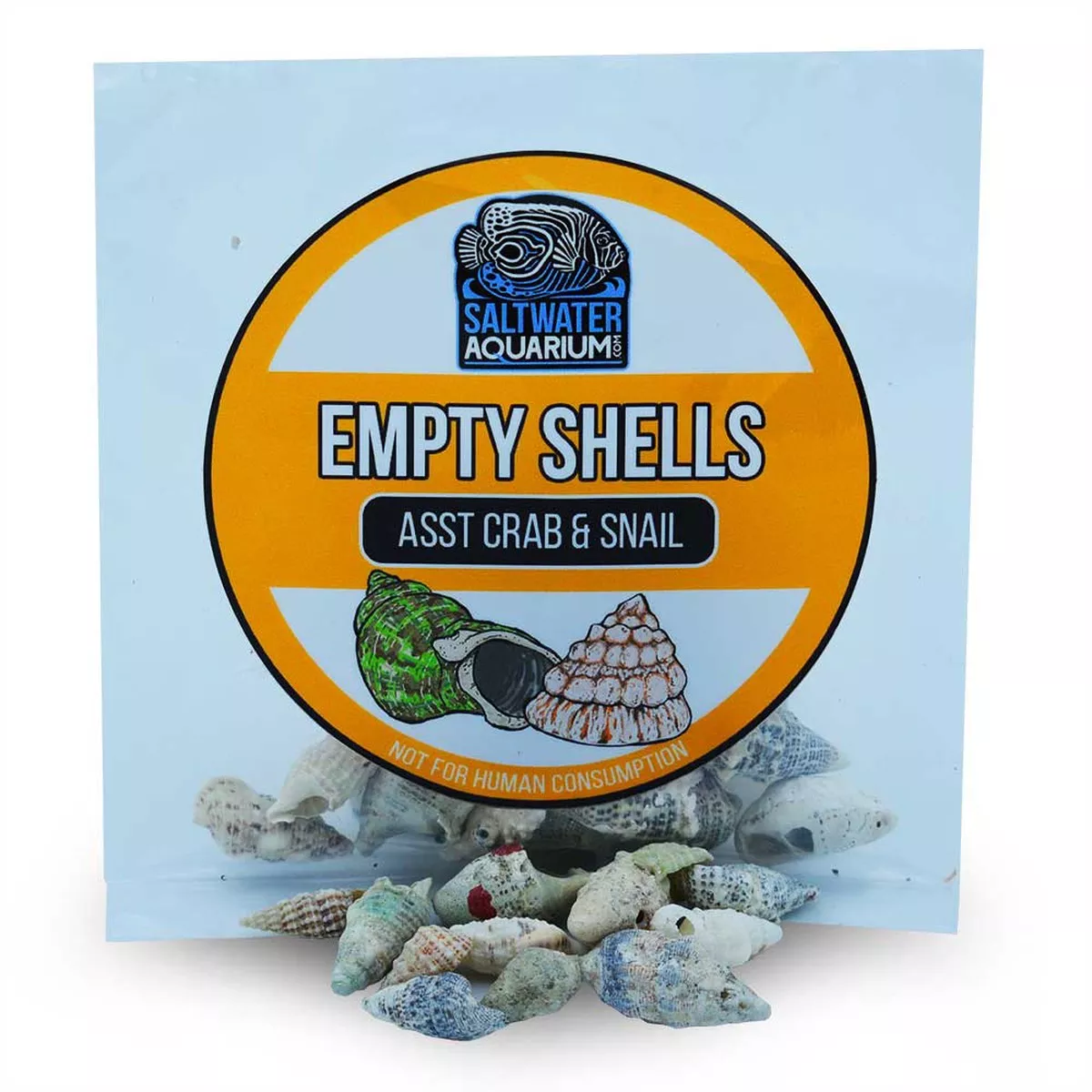20-small-conical-shaped-sterilized-aquarium-safe-empty-shells (20) Small Conical Shaped Sterilized Aquarium Safe Empty Shells