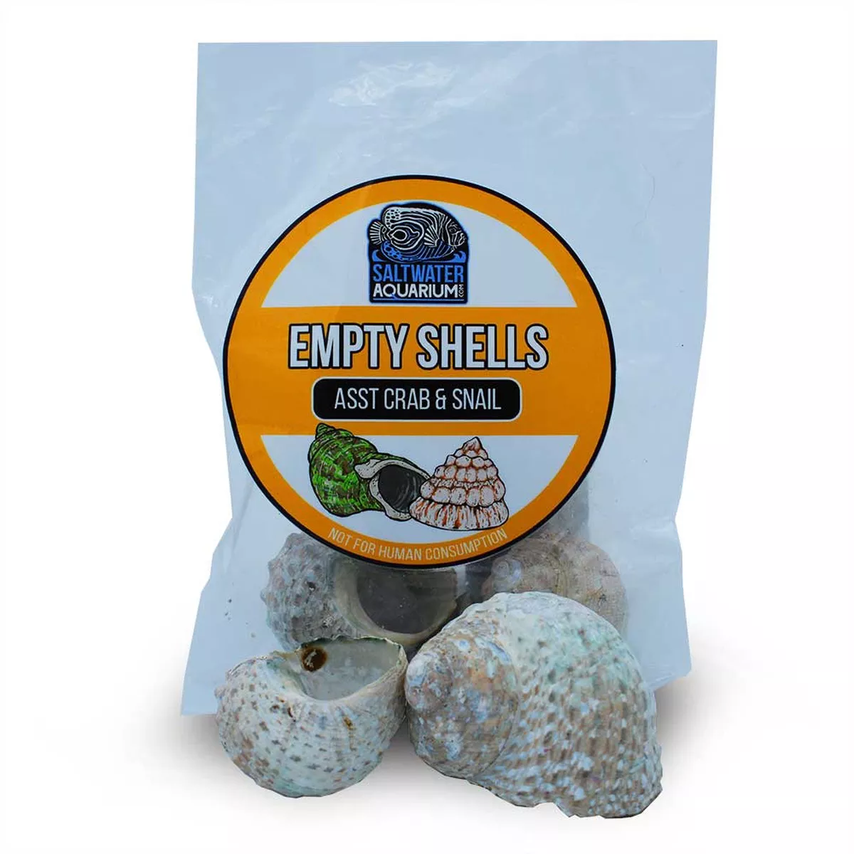 5-large-standard-shaped-turbinate-sterilized-aquarium-safe-empty-shells (5) Large Standard Shaped Turbinate Sterilized Aquarium Safe Empty Shells