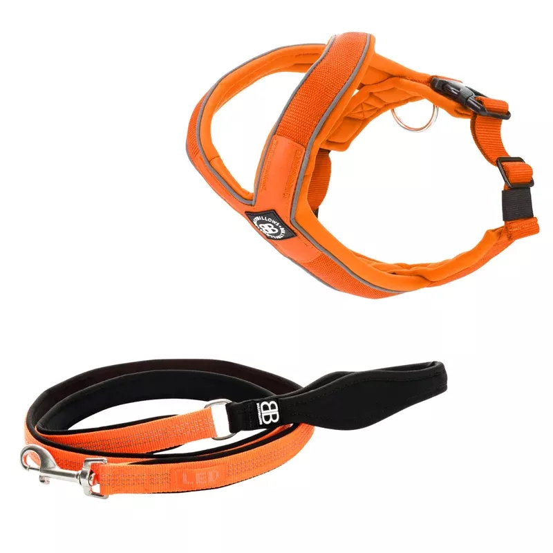 Slip-on Harness & Active Lead Bundle Orange