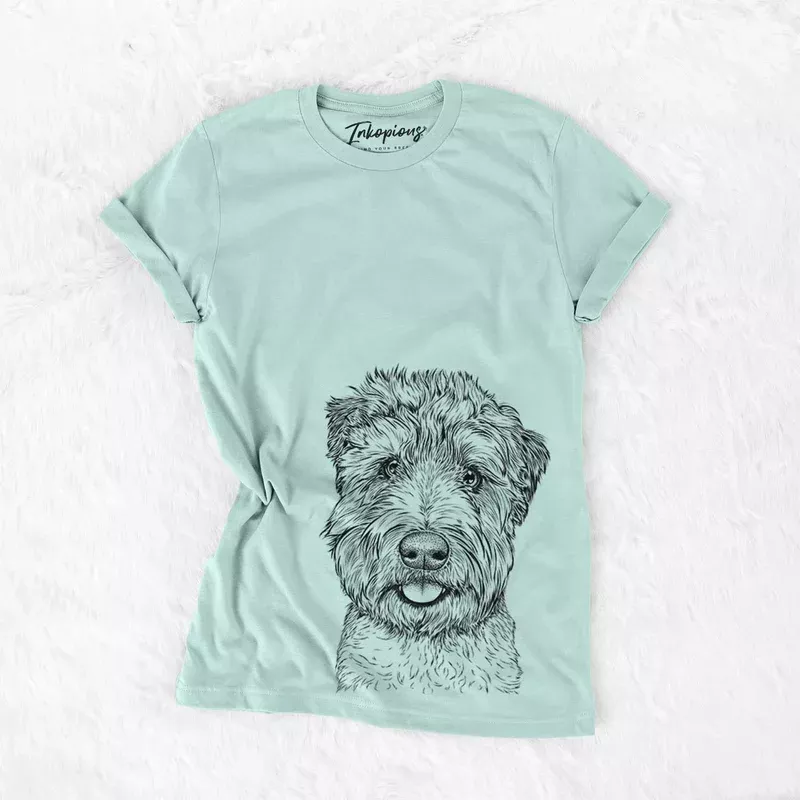 soft-coated-wheaten-milton *Soft Coated Wheaten -Milton